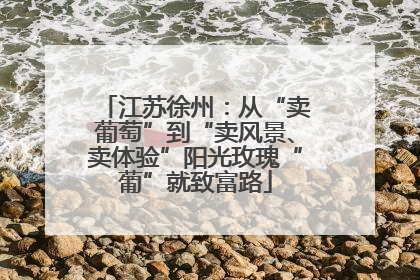 江苏徐州：从“卖葡萄”到“卖风景、卖体验”阳光玫瑰“葡”就致富路
