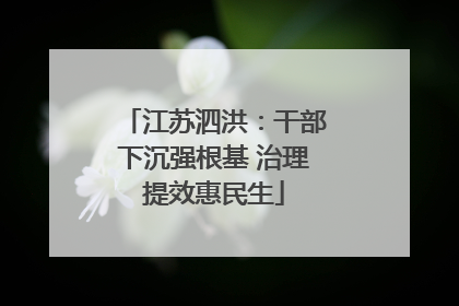 江苏泗洪：干部下沉强根基 治理提效惠民生