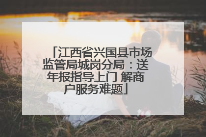 江西省兴国县市场监管局城岗分局：送年报指导上门 解商户服务难题