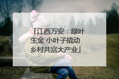江西万安：绿叶生金 小叶子撬动乡村共富大产业