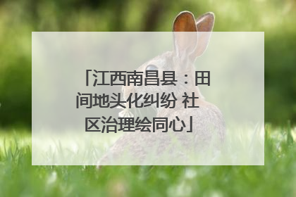 江西南昌县：田间地头化纠纷 社区治理绘同心