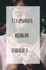 江西南昌：稻渐黄 田园美