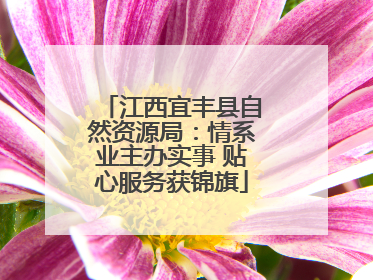江西宜丰县自然资源局：情系业主办实事 贴心服务获锦旗
