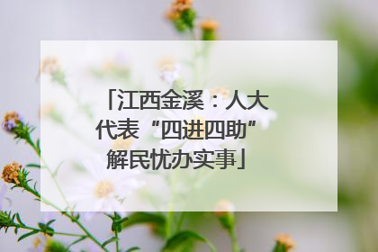 江西金溪：人大代表“四进四助”解民忧办实事