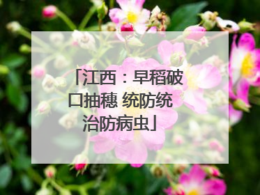 江西：早稻破口抽穗 统防统治防病虫