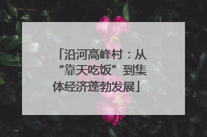 沿河高峰村：从“靠天吃饭”到集体经济蓬勃发展