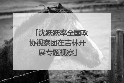 沈跃跃率全国政协视察团在吉林开展专题视察