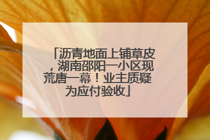 沥青地面上铺草皮，湖南邵阳一小区现荒唐一幕！业主质疑为应付验收