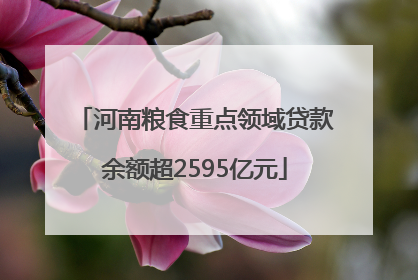 河南粮食重点领域贷款余额超2595亿元