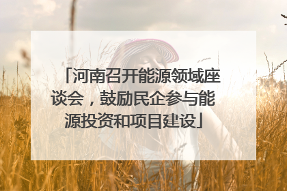 河南召开能源领域座谈会，鼓励民企参与能源投资和项目建设