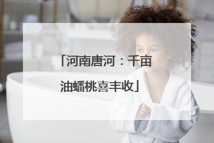 河南唐河：千亩油蟠桃喜丰收