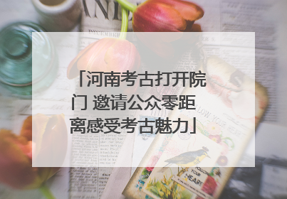 河南考古打开院门 邀请公众零距离感受考古魅力