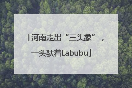 河南走出“三头象”，一头驮着Labubu