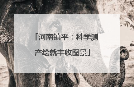 河南镇平：科学测产绘就丰收图景
