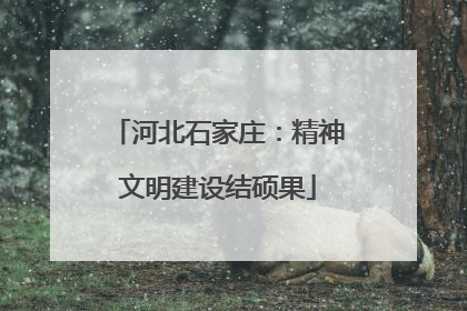 河北石家庄：精神文明建设结硕果