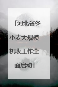 河北省冬小麦大规模机收工作全面启动
