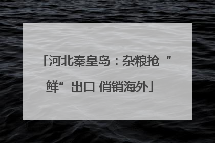 河北秦皇岛：杂粮抢“鲜”出口 俏销海外