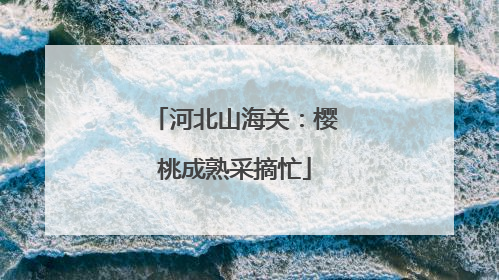 河北山海关：樱桃成熟采摘忙