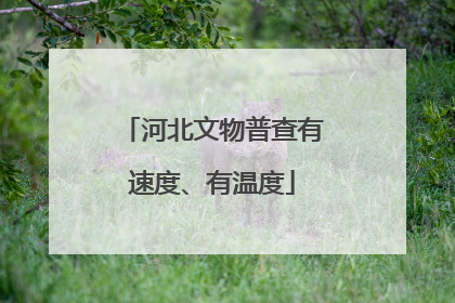 河北文物普查有速度、有温度