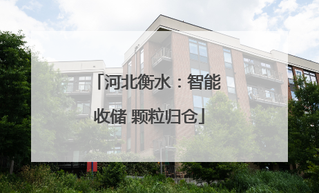 河北衡水：智能收储 颗粒归仓