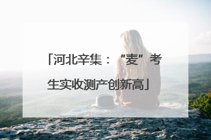 河北辛集：“麦”考生实收测产创新高