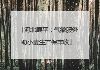 河北顺平：气象服务助小麦生产保丰收