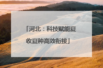 河北：科技赋能夏收夏种高效衔接