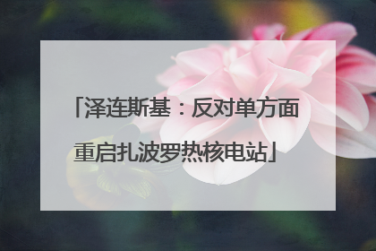 泽连斯基：反对单方面重启扎波罗热核电站