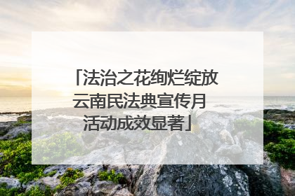 法治之花绚烂绽放 云南民法典宣传月活动成效显著