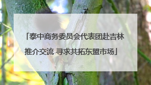 泰中商务委员会代表团赴吉林推介交流 寻求共拓东盟市场