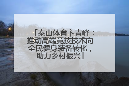 泰山体育卞青峰：推动高端竞技技术向全民健身装备转化，助力乡村振兴