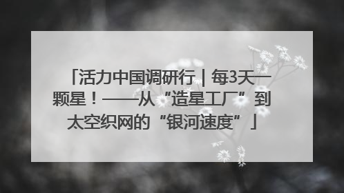 活力中国调研行｜每3天一颗星！——从“造星工厂”到太空织网的“银河速度”