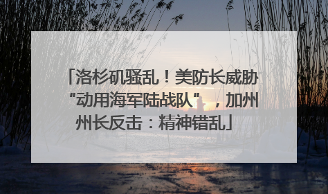 洛杉矶骚乱！美防长威胁“动用海军陆战队”，加州州长反击：精神错乱