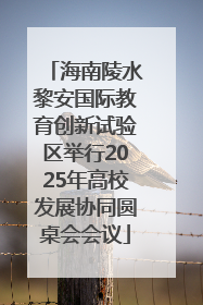 海南陵水黎安国际教育创新试验区举行2025年高校发展协同圆桌会会议