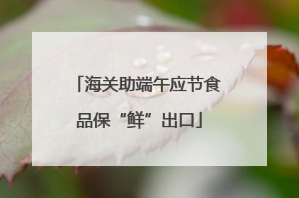 海关助端午应节食品保“鲜”出口