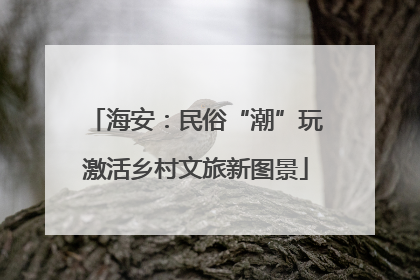 海安：民俗“潮”玩激活乡村文旅新图景
