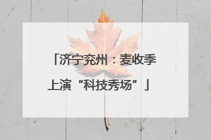 济宁兖州：麦收季上演“科技秀场”