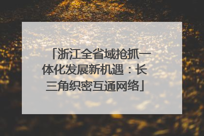 浙江全省域抢抓一体化发展新机遇：长三角织密互通网络