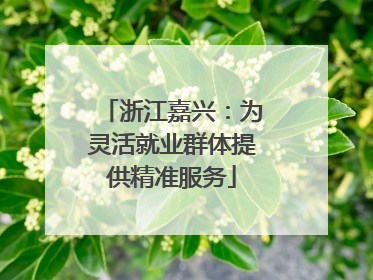 浙江嘉兴：为灵活就业群体提供精准服务