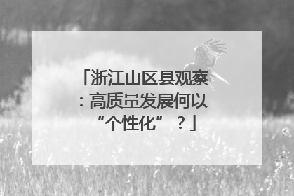 浙江山区县观察：高质量发展何以“个性化”？