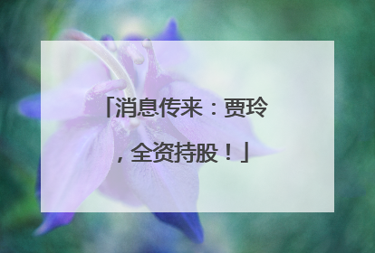 消息传来：贾玲，全资持股！