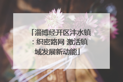 淄博经开区沣水镇：织密路网 激活镇域发展新动能