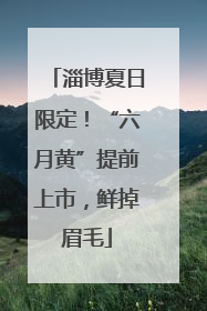 淄博夏日限定！“六月黄”提前上市，鲜掉眉毛