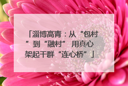 淄博高青：从“包村”到“融村” 用真心架起干群“连心桥”