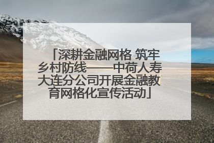 深耕金融网格 筑牢乡村防线——中荷人寿大连分公司开展金融教育网格化宣传活动