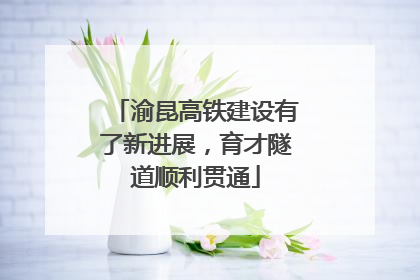 渝昆高铁建设有了新进展，育才隧道顺利贯通