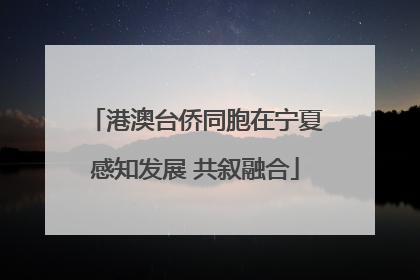 港澳台侨同胞在宁夏感知发展 共叙融合