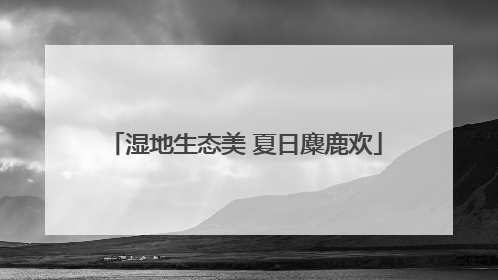 湿地生态美 夏日麋鹿欢