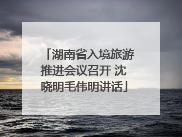 湖南省入境旅游推进会议召开 沈晓明毛伟明讲话
