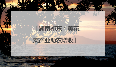 湖南祁东：黄花菜产业助农增收